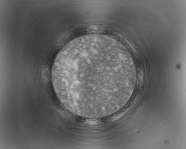 X0000116570659201001211245