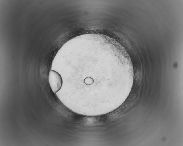 X0000116570662201001211245