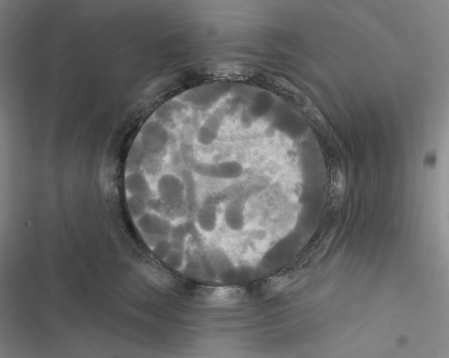 X0000116570663201001211245