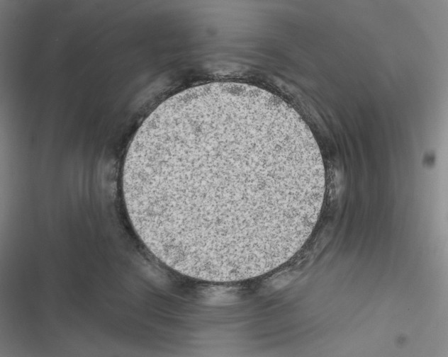 X0000116570664201001211245