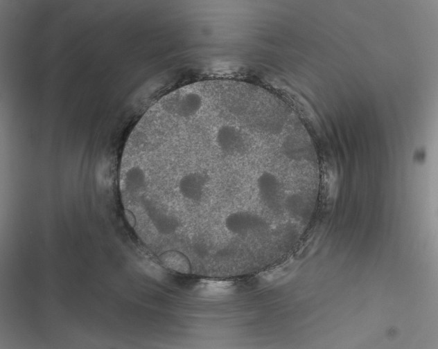 X0000116570665201001211245