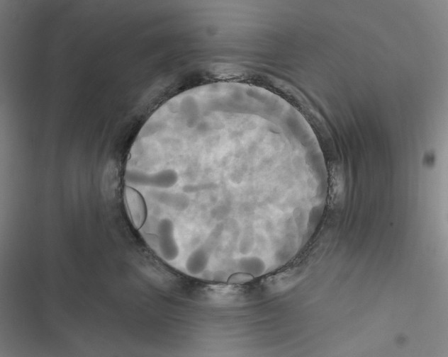 X0000116570667201001211245