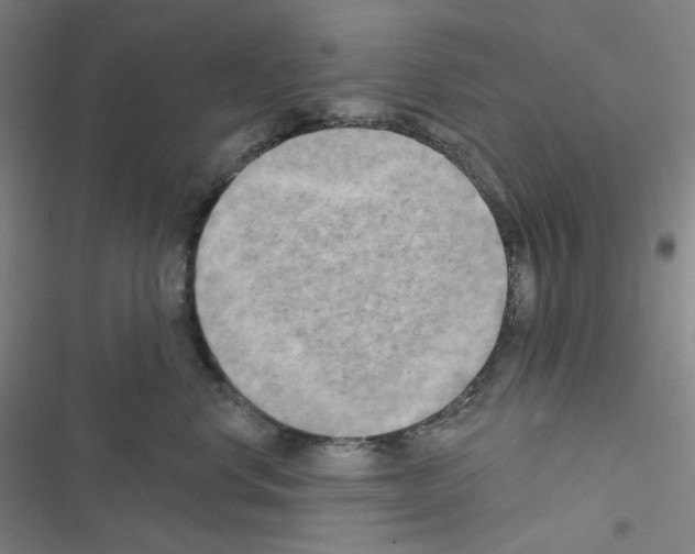 X0000116570668201001211245