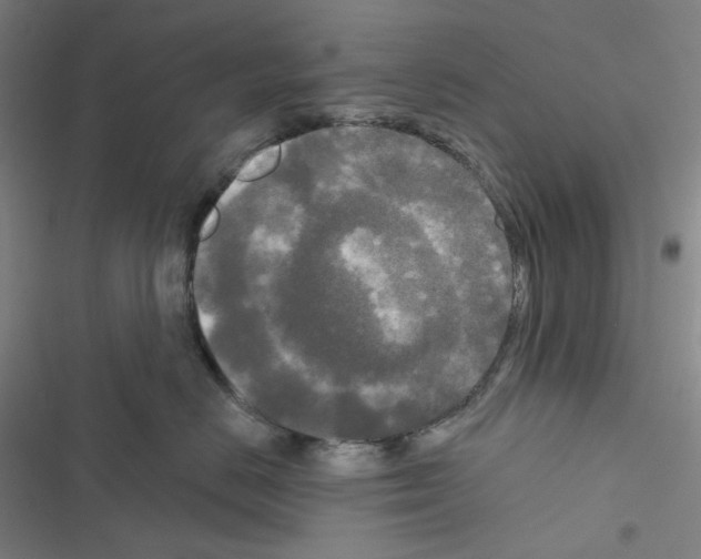 X0000116570670201001211245