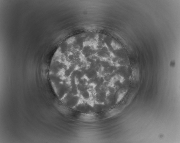 X0000116570671201001211245