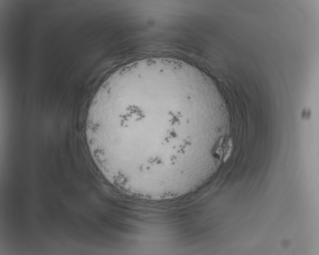 X0000116570672201001211245