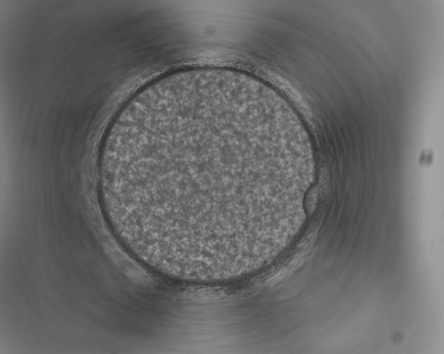 X0000116570673201001211244