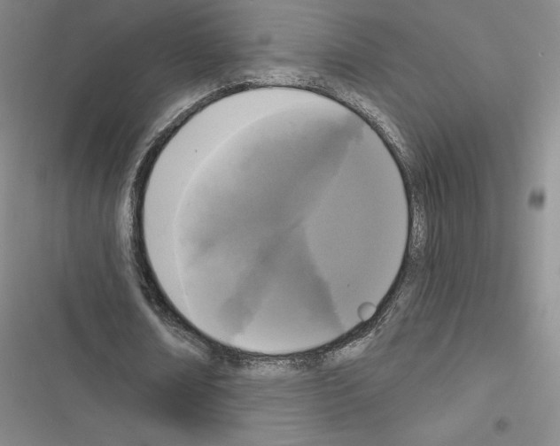 X0000116570674201001211244