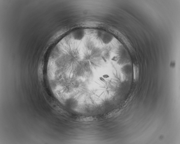 X0000116570675201001211244