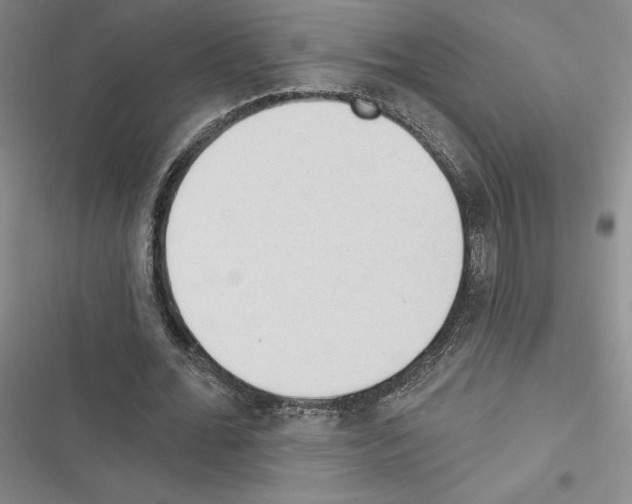 X0000116570676201001211244