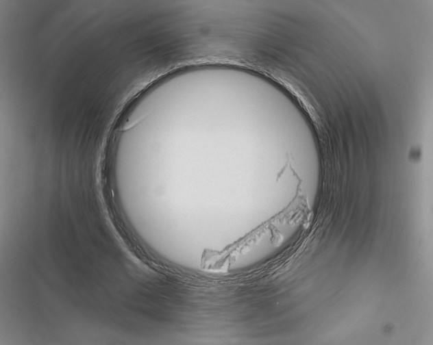 X0000116570677201001211244