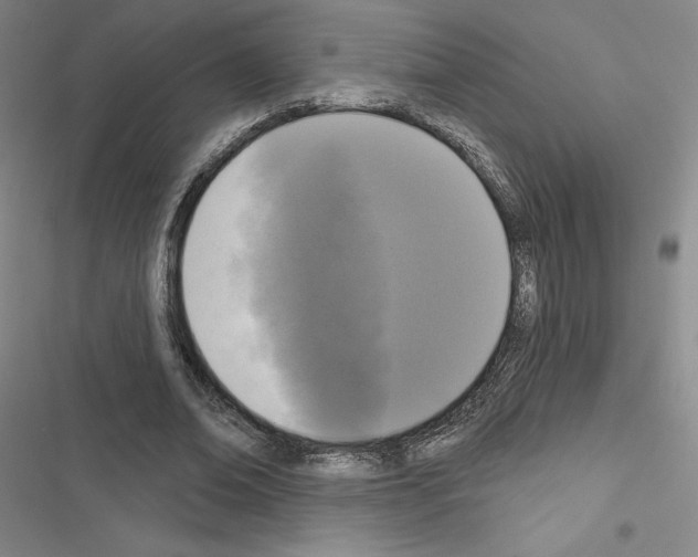 X0000116570678201001211244