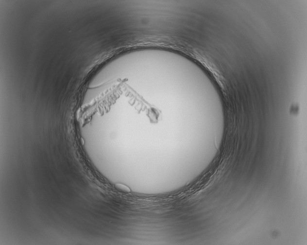 X0000116570681201001211244