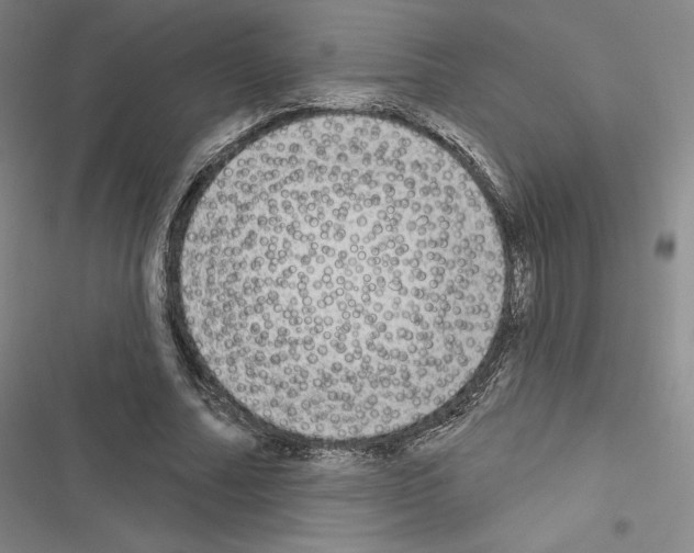 X0000116570682201001211244