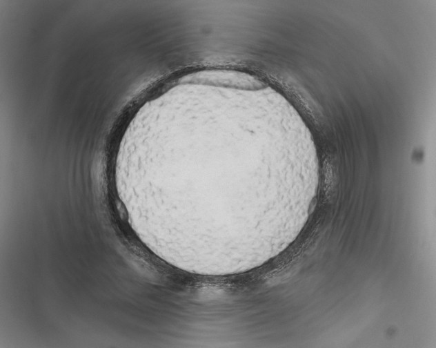 X0000116570684201001211244