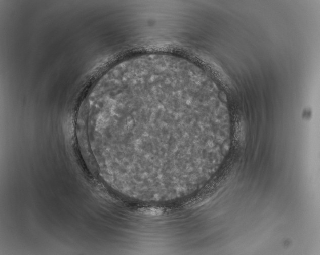 X0000116570687201001211244