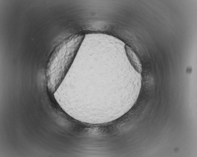 X0000116570688201001211244