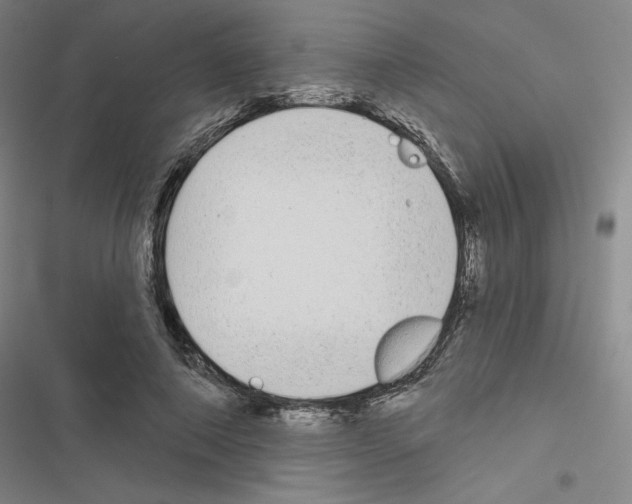 X0000116570690201001211244