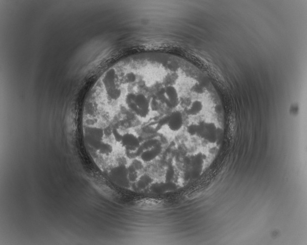 X0000116570691201001211244