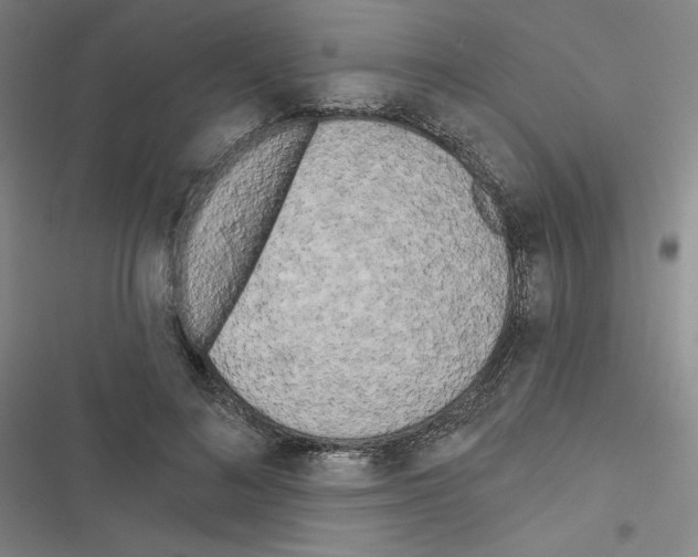 X0000116570692201001211244