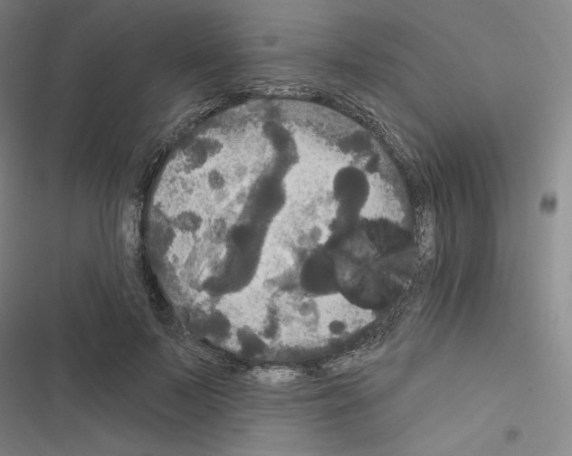 X0000116570695201001211244