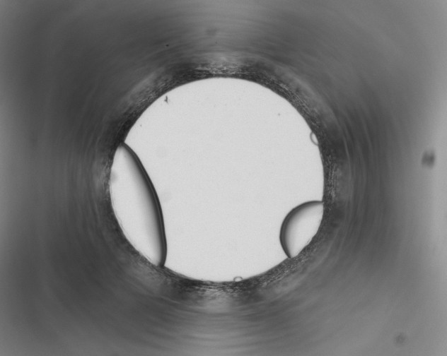 X0000116570697201001211244