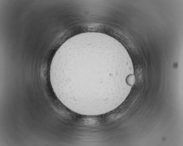 X0000116570698201001211244