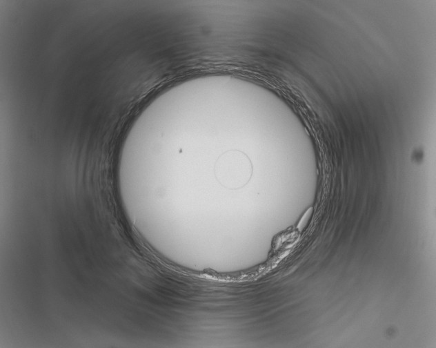 X0000116570700201001211244