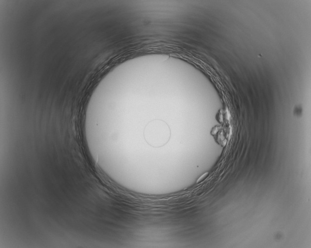 X0000116570701201001211244