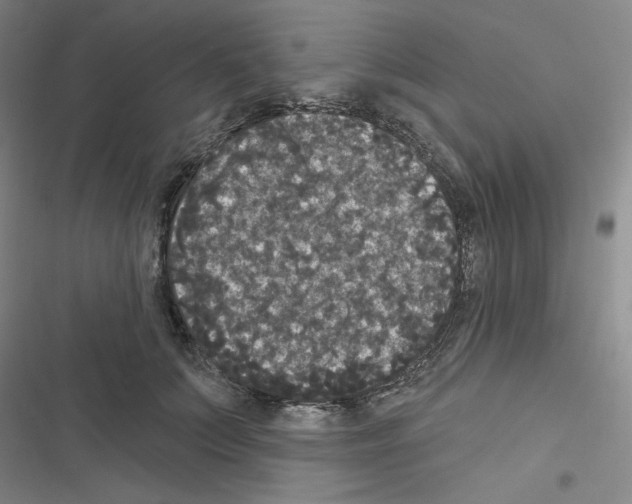 X0000116570703201001211244