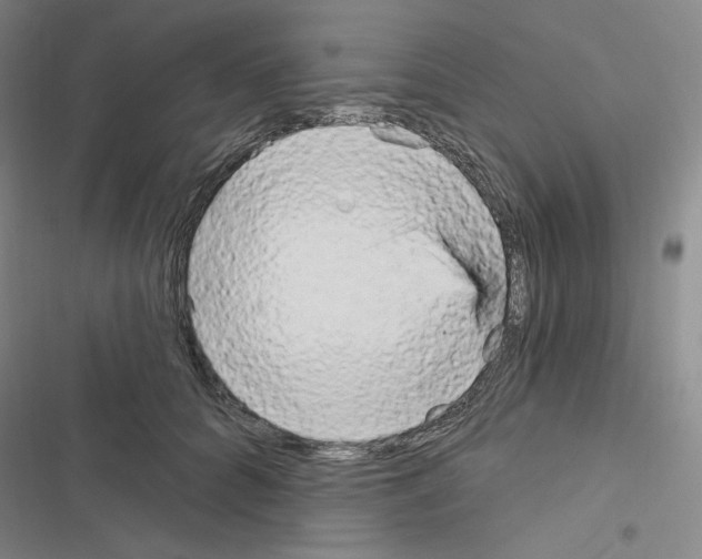 X0000116570704201001211244