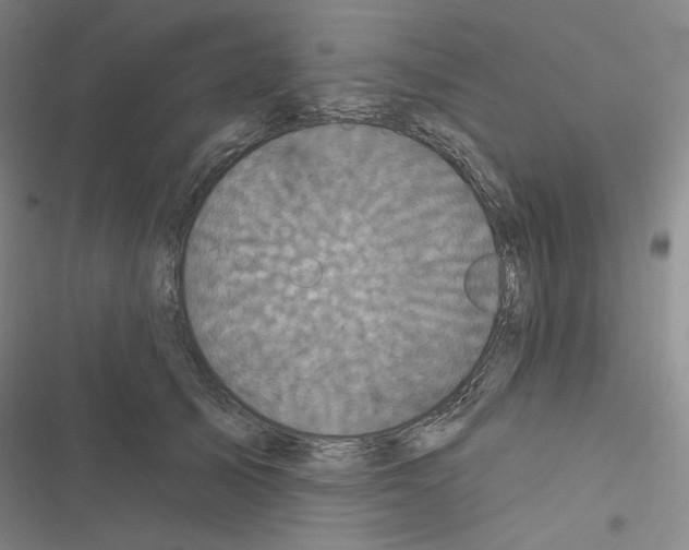 X0000116570705201001211244