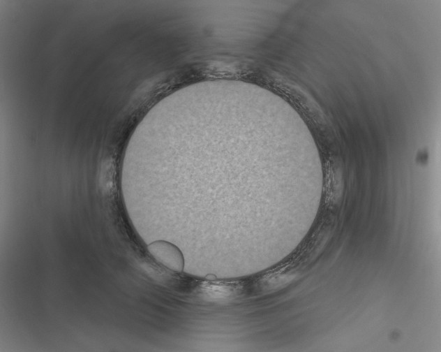 X0000116570706201001211244