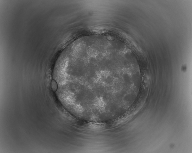 X0000116570707201001211244