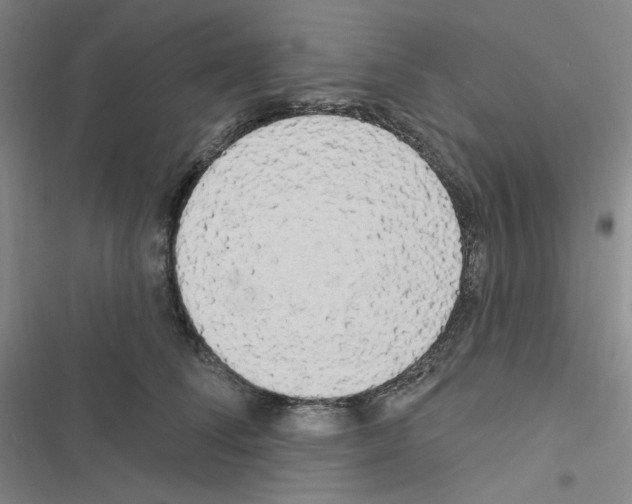 X0000116570708201001211244