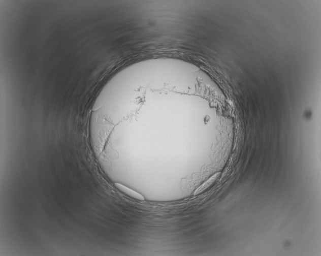 X0000116570709201001211244