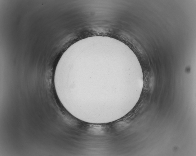 X0000116570710201001211244