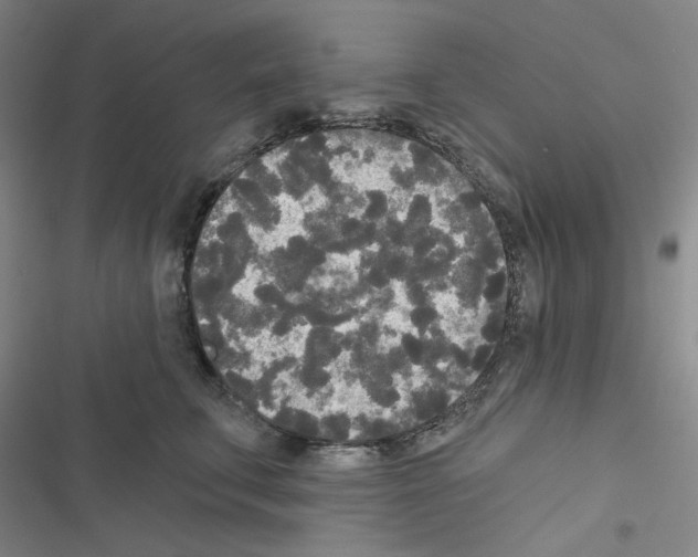 X0000116570711201001211244