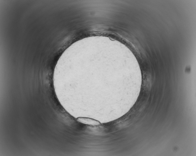 X0000116570712201001211244