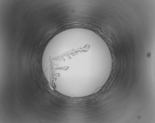 X0000116570713201001211244