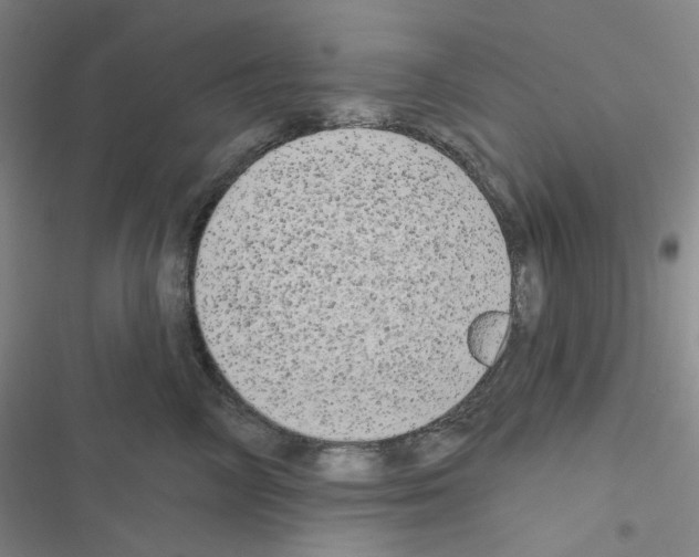 X0000116570714201001211244