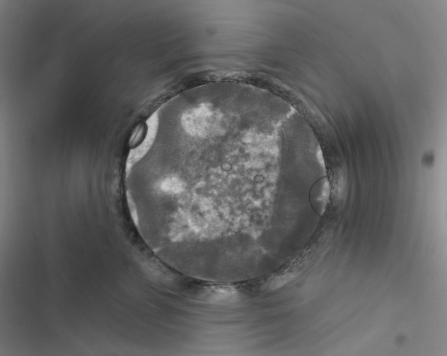 X0000116570715201001211244