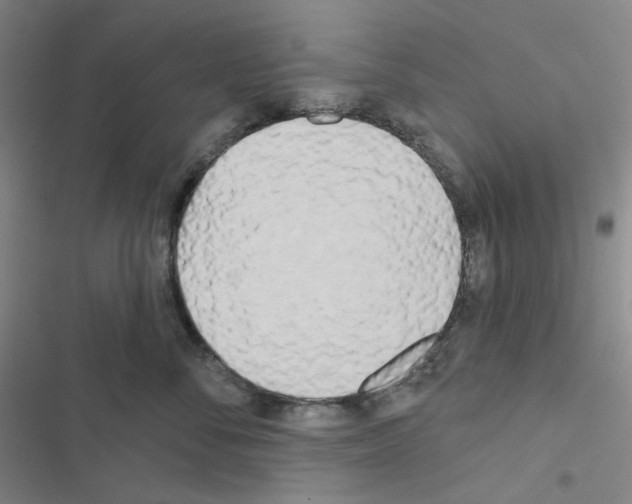 X0000116570716201001211243