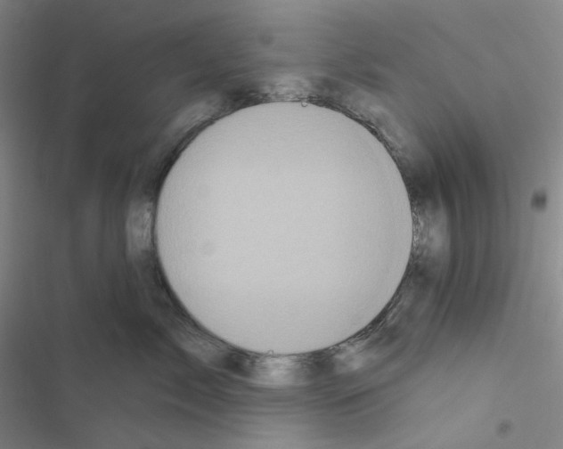 X0000116570717201001211243