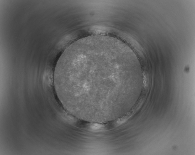 X0000116570718201001211243