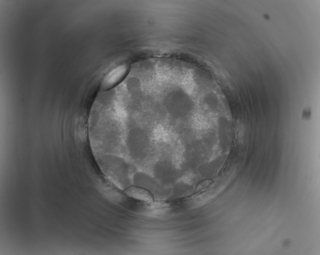 X0000116570719201001211243