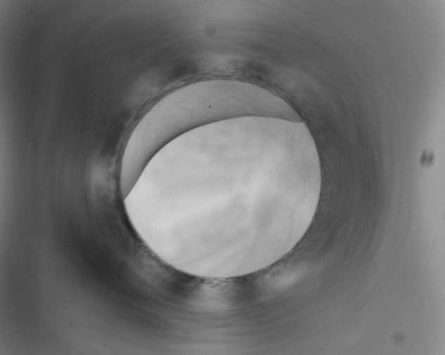 X0000116570720201001211243