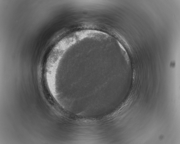 X0000116570722201001211243