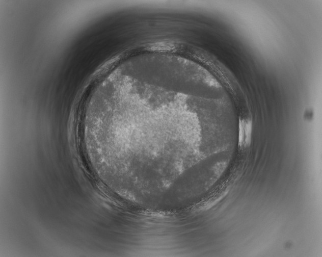 X0000116570723201001211243