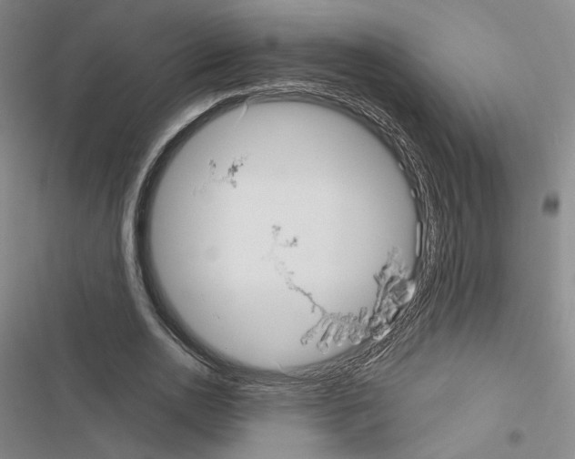 X0000116570726201001211243